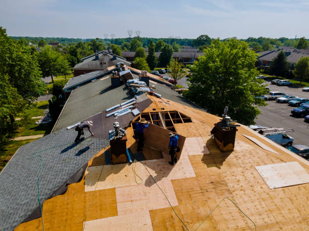 Quick and Trustworthy Emergency Roof Repair Services in West Homestead, PA