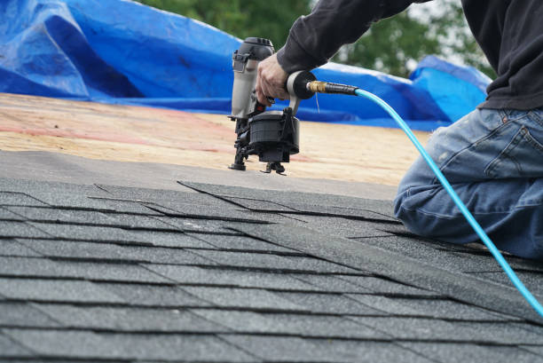 Best Storm Damage Roof Repair  in West Homestead, PA